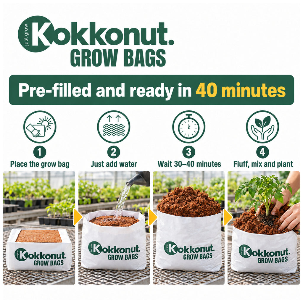 How to use Kokkonut grow bags: stand upright, add water, plant