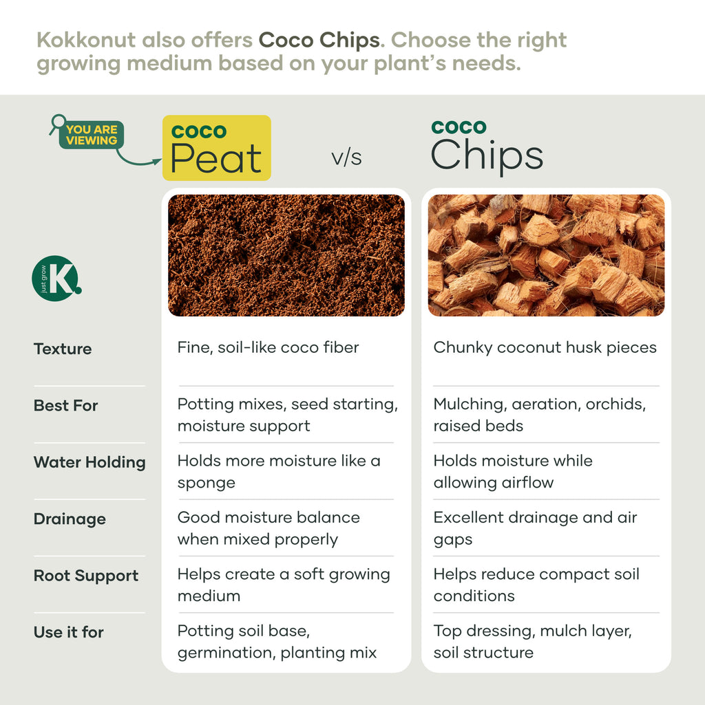 Coco peat vs coco chips: texture, best uses, water holding and drainage compared