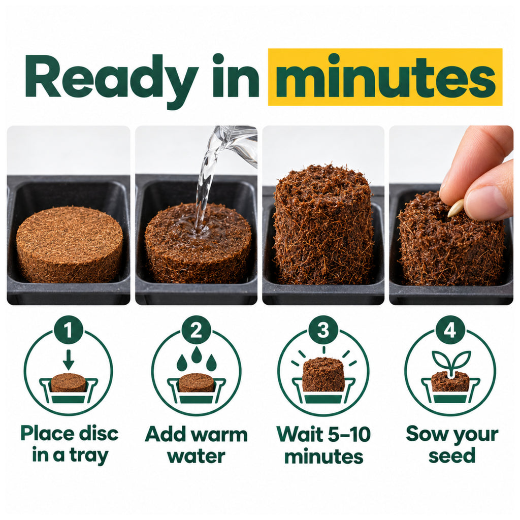 How to use Kokkonut coir discs: add warm water, wait, sow