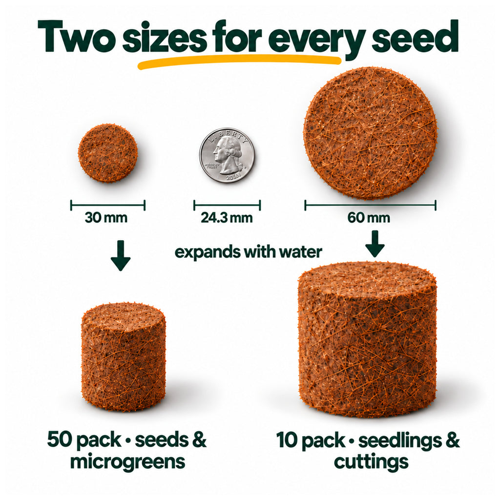 Size comparison of Kokkonut 30 mm pellets and 60 mm coir discs