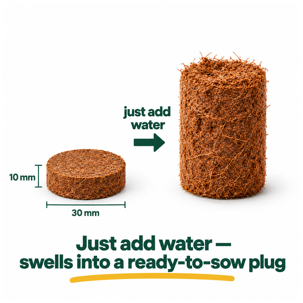 Kokkonut 30 mm coir pellet before and after expanding