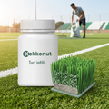 Turf Infills